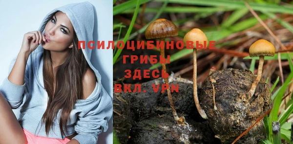 спайс Вяземский