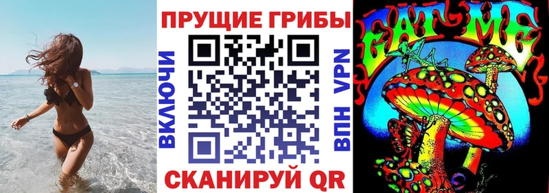 Псилоцибиновые грибы мицелий  МЕГА зеркало  Избербаш 